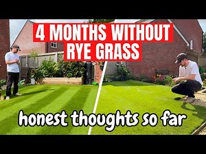 Was it worth it? Replacing Rye Grass with Bent and Fescue - 4 Months On