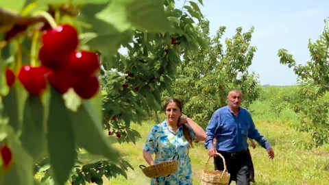 Dreaming of a cherry pie with rose petals and jam recipe! We are making the most delicious treats