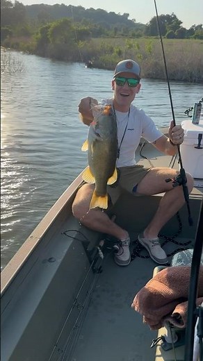 First 4lber in the Grizzly Tracker 1860 CC #grizzlytracker #fishing #boating #topwater #bassfishing
