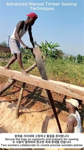 Advanced Manual Timber Sawing Techniques | 전통 수동 톱질 방식의 효율적인 원목 제재 기술