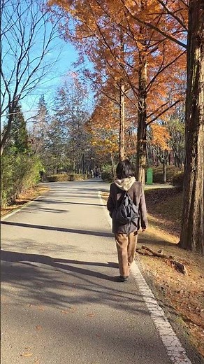 떠나가는 가을이 아쉬워