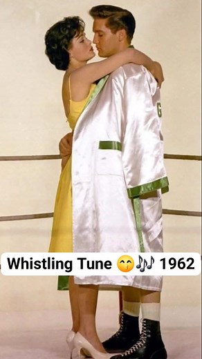 I'm in love with this simple yet tender song from the movie Kid Galahad. 💕Elvis's golden smooth vocals are so mesmerizing. 🥰🌹 | Canadian Loves Elvis