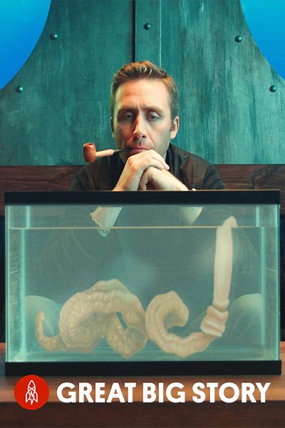 Unveiling the deep, the Acorn Worm's evolutionary secrets