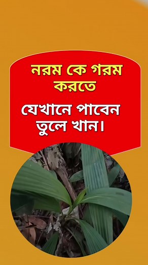 #healthtips #healthyeating #health | Dr. Sefa