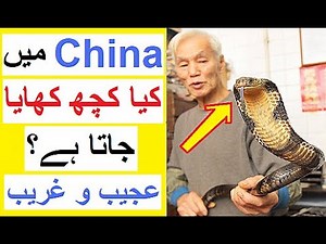 Unusual Foods Available in China - Reality Tv