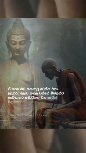 බුදුවරු ලොව පහල වන්නේ ඇයි..❤️ | lord buddh | buddism