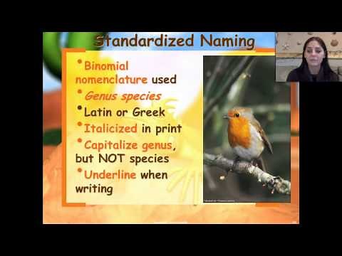 Taxonomy, Classification of organisms