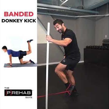 Banded Donkey Kicks