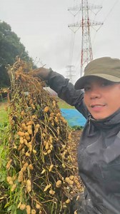 179 reactions · 59 comments | Mani for you  #mani #peanuts #yummy #japanofw #usapangmani #fyp #highlights #trend #viralnow | Piolong Pagod トニー | Facebook