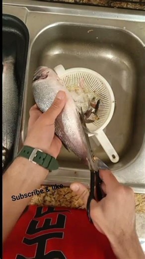 How to Cut Sea Bass Fish Fast & Smooth.