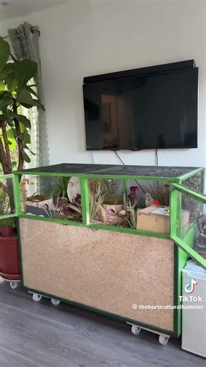 #hamster ubikace