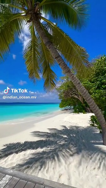 Explore Baa Atoll, Maldives: A Tropical Paradise