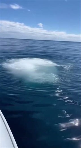 Mysterious Methane Bubbles Rising Up