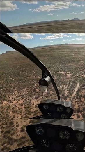 Springbok HUNT from Helicopter