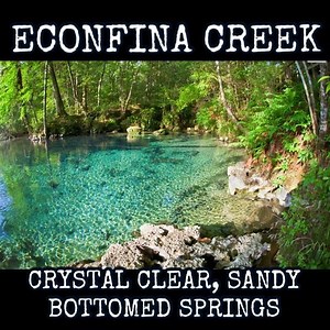 10K views · 79 reactions | Plan a weekend trip! Econfina is a...