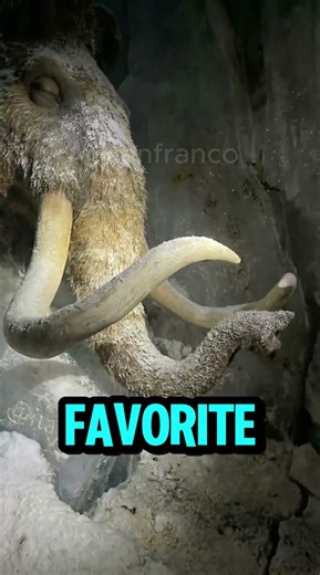 Found Ice Age Characters in Real Life 🧊