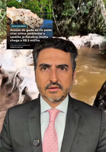 🚨 Gado proibido de entrar no rio? Não é bem assim! O Código Florestal Brasileiro permite o acesso para dessedentação em Área de Preservação Permanente (APP). Mas existe um ponto crucial: a atividade precisa ser de baixo impacto ambiental. Se houver excesso de pisoteio, degradação da mata ciliar ou assoreamento, o que era permitido pode virar infração, com multa mínima de R$ 5 mil por hectare, embargo da área e até responsabilização criminal. O problema não é o gado beber água. É como isso está 