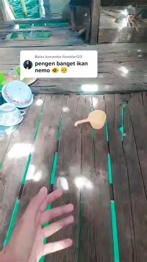 Cute Nemo Fish in the Ocean - Finding Nemo Video Compilation