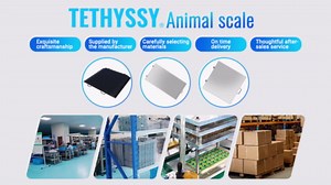 Livestock Scale 44 x22in,1000Lbs x 0.2Lbs Digital Veterinary Scale,Stainless Steel Platform Electronic Scale for Sheep Scale