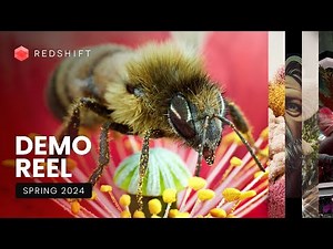 Maxon Redshift | 2024 Demo Reel