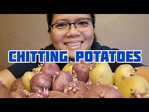 How To Make Your Own Seed Potatoes | Gardening in Kentucky