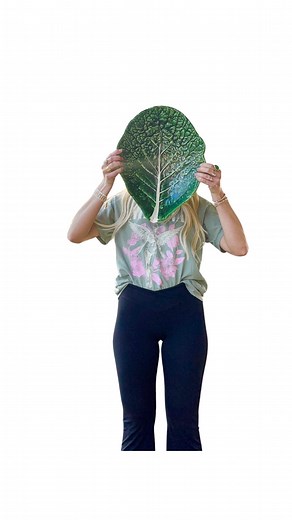 🥬 🥬This lovely vintage cabbageware collection has made its way into our home and I am feeling so overwhelmed with joy and thankfulness over this collection and the family who I got it from! What a stunning collection, right?! I cant wait to style these in our kitchen and add them to our collection of cabbageware on our open shelving! This set has entered my top tier of secondhand treasures, ever! Whats one of your favorite second hand finds?! 🥬🥬 | The Iron Victorian