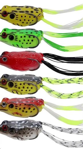 Top water frog or whopper plopper#fishing