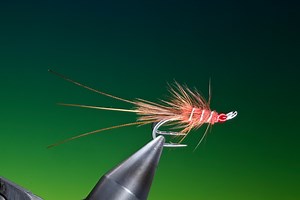 Red Francis Atlantic salmon fly