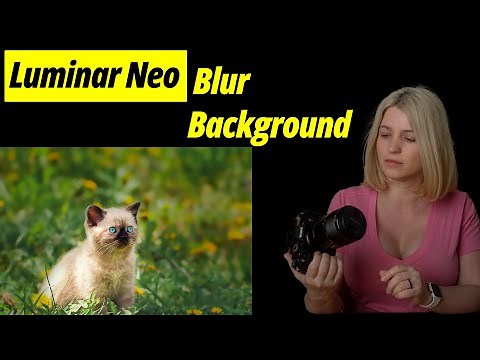 Luminar Neo. Blur background