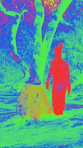 Juan vs The Predator part 4 | David Lopez