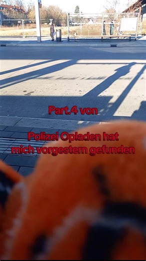 🩸📏Anthony🎧💔 (@warrior.cats.scha)’s videos with Originalton - 🩸📏Anthony🎧💔