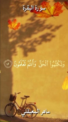 سورة البقرة | ماهر المعيقلي 📖✨