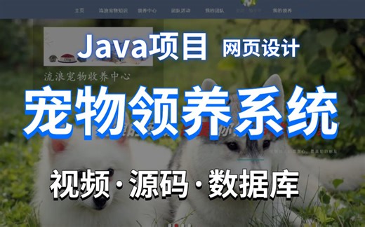 【Java实战项目】不到2小时教你做出Java宠物领养系统项目（附源码课件），手把手教你开发！