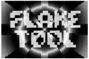 FLAKE Tool License Key