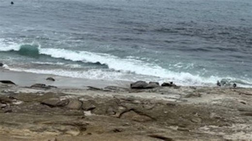 The San Diego surf report | Dec 22