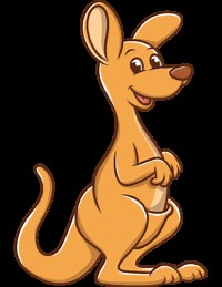 Gymnastics Classes for Kids & Teens | Twisters Gymnastics