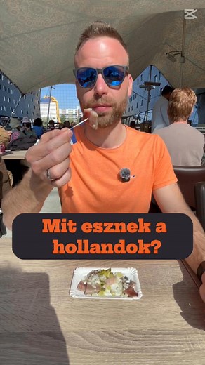 Mit esznek a hollandok? #holland #nyelvtanulas #hollandia | Holland nyelv Magyaroknak