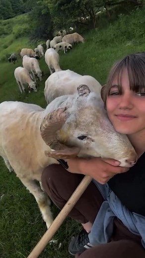Discovering the Heart of Romanian Shepherding