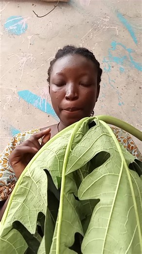 Utiliser le moringa frais pour des cheveux sains