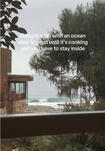 Benefits of Working in a Lab with an Ocean View