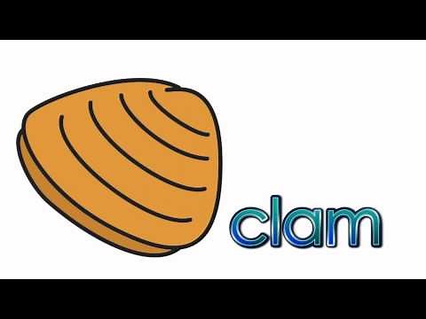 Learn Sea Animals | Talking Flashcards