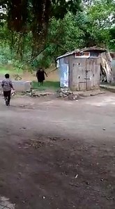 137K views · 477 shares | Brave old lady | Amazing Pictures and videos | Facebook