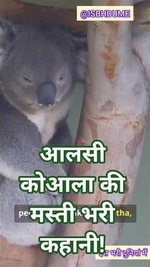 Koala Ka Lazy Day | Funny Koala Story | Viral Animal Short Video | KoalaStory | #ViralShorts