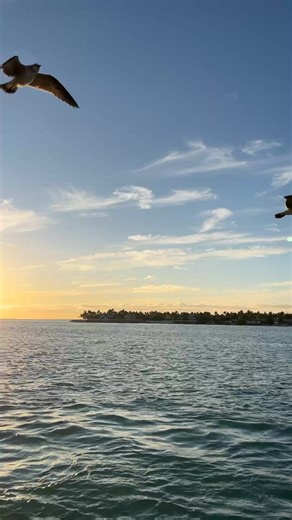 Sunset Pier ~ Key West on Reels