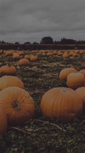 Join us Sunday morning at 9am and 10:30am as we gather together for worship, God’s Word, and child dedications!! #BringAFriend #sundayiscoming #worshipwithus #sundaysongs #childdedication #SundayService #childrenschurch | Temple Baptist Church | Facebook