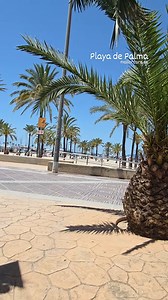 It feels like paradies 🌊🌞🌴 29 degrees on Mallorca - a fun day! | Playa de Palma, Mallorca