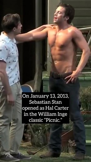 Sebastian Stan as Hal Carter in Picnic | Leahlovesstunts