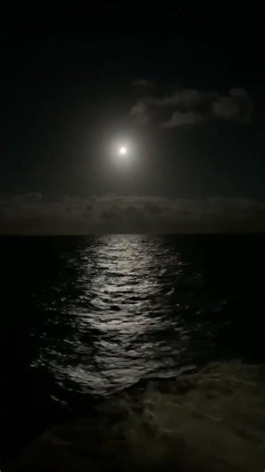 Moonlight Over the Ocean 🌙 Relaxing Night Waves for Sleep & Peace #Shorts #relax #calm #sleep