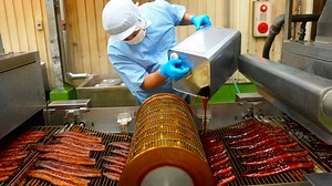 The process from domestic eel farming to processing. Japan's organic eel farm. | Food Processing