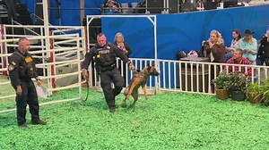 HARD DOG, FAST DOG COMPETITION. Last night, Constable Mark Herman’s K9 Unit participated in the Houston Livestock Show and Rodeo’s “Hard Dog Fast Dog” Competition put on by Kristi Schiller and K9s4Cops (K9s4Cops.org)! We are proud to participate in this incredible competition every year. Congratulations to all those that competed! Representing Constable Mark Herman’s Office was Captain Jonathan Zitzmann, Lieutenant James Glaze, Sergeant Andrew Baskins, Corporal Terry Fentress, Deputy George Hens